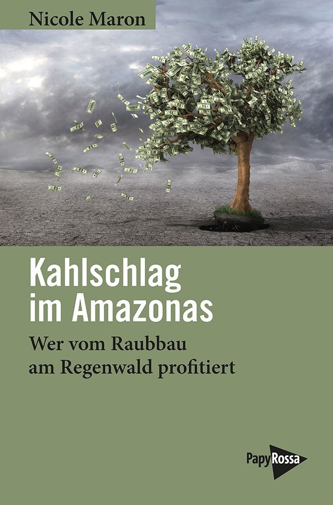 Kahlschlag im Amazonas
