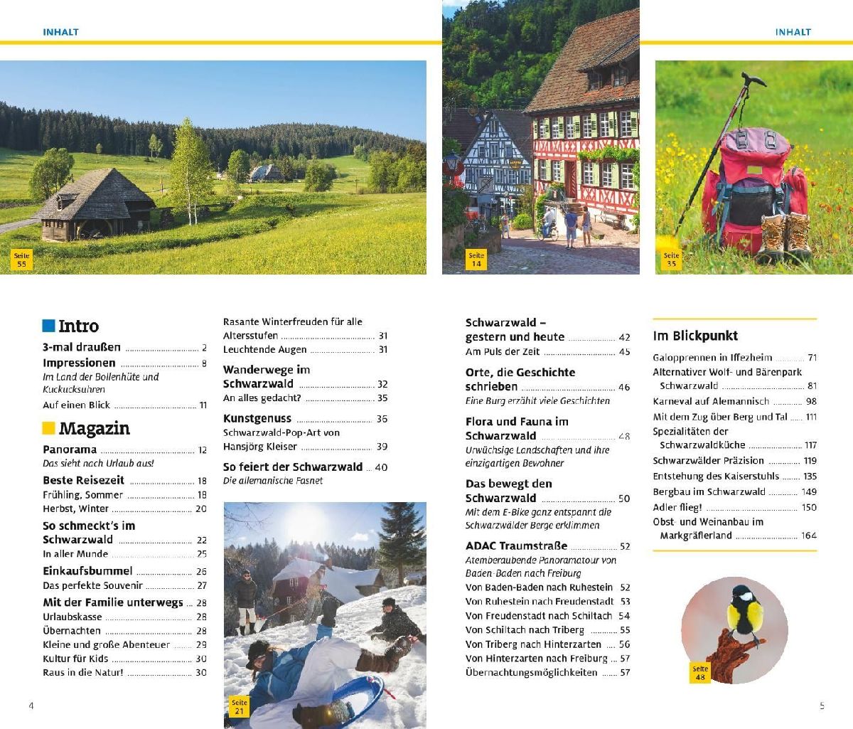 ADAC Reiseführer plus Schwarzwald