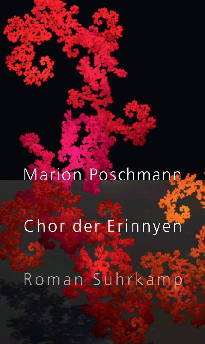 Chor der Erinnyen