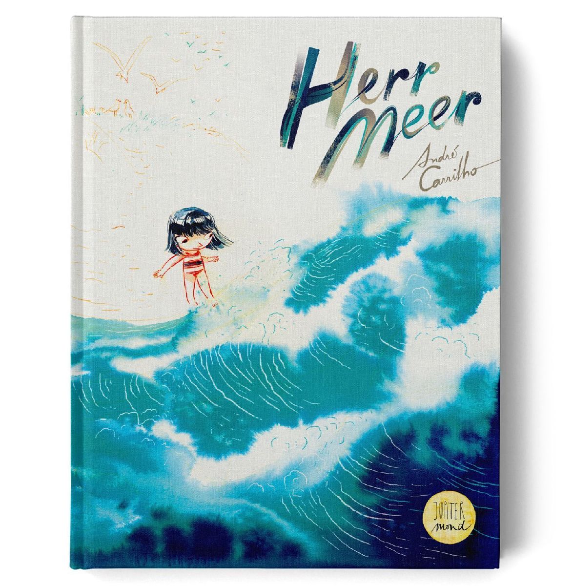 Herr Meer
