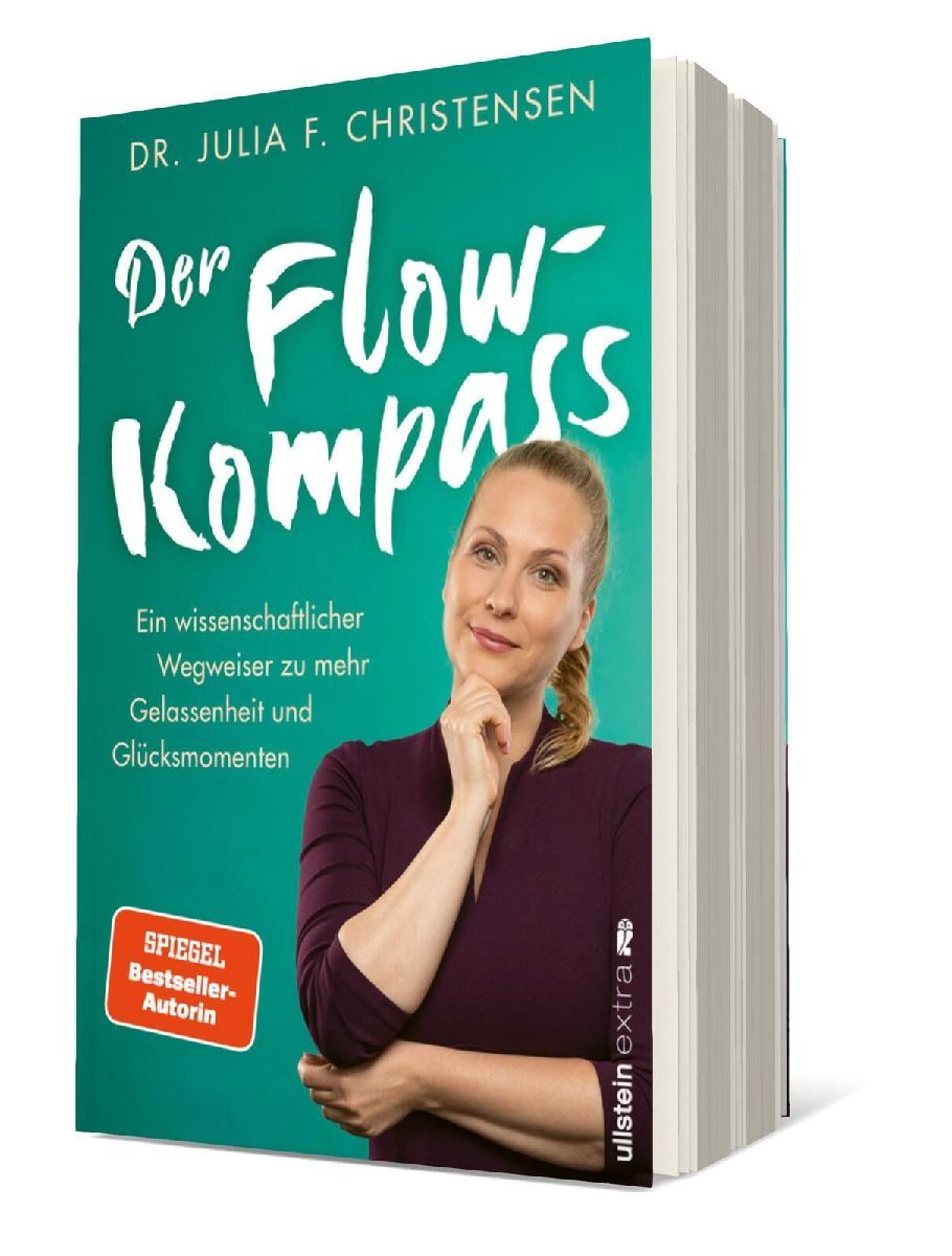 Der Flow-Kompass