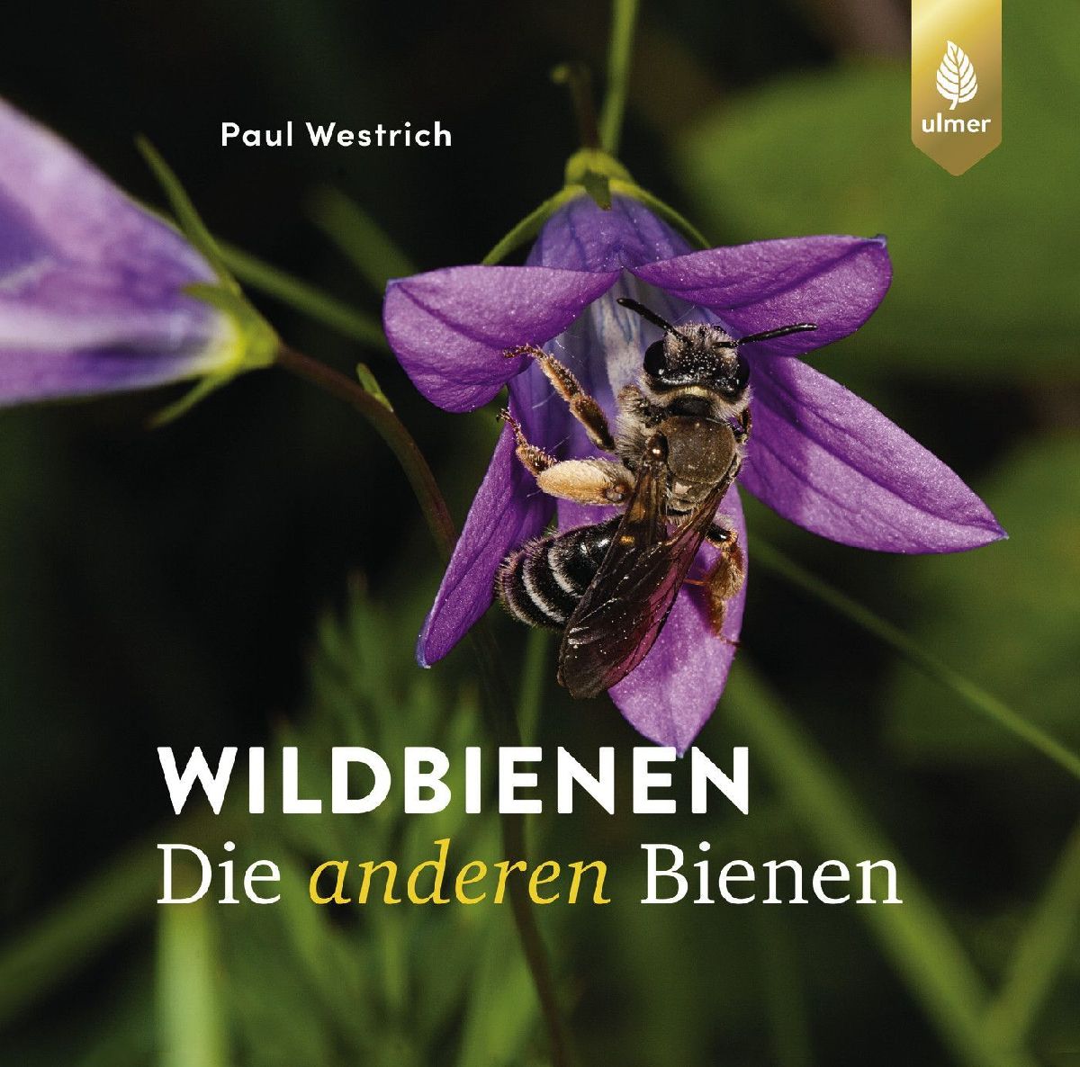 Wildbienen, die anderen Bienen