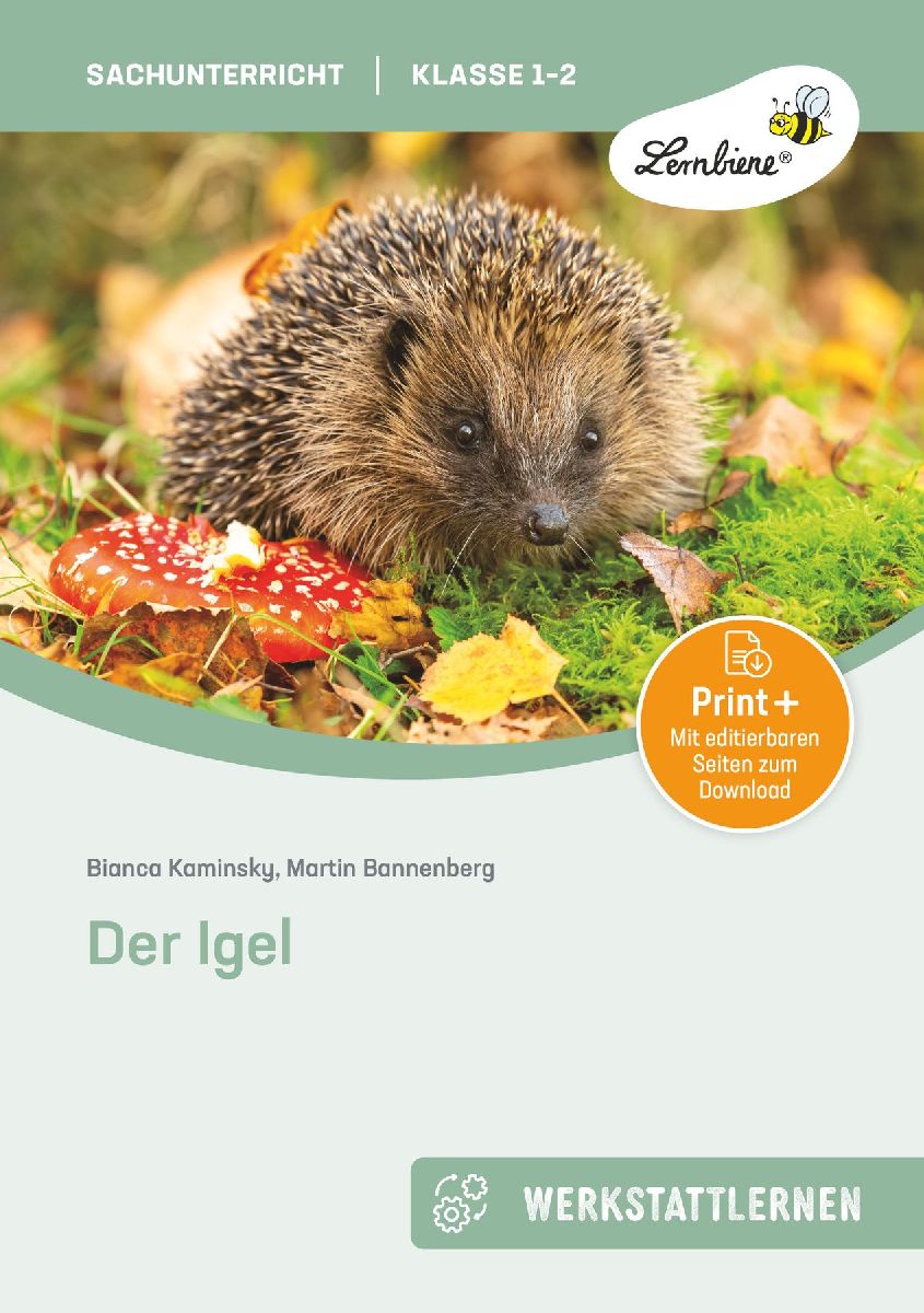 Der Igel. Grundschule, Sachunterricht, Klasse 1-2