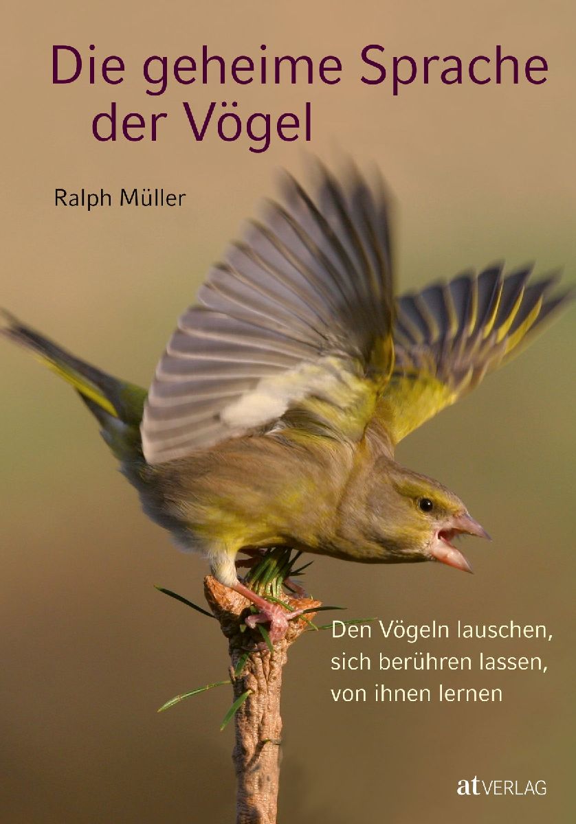 Die geheime Sprache der Vögel
