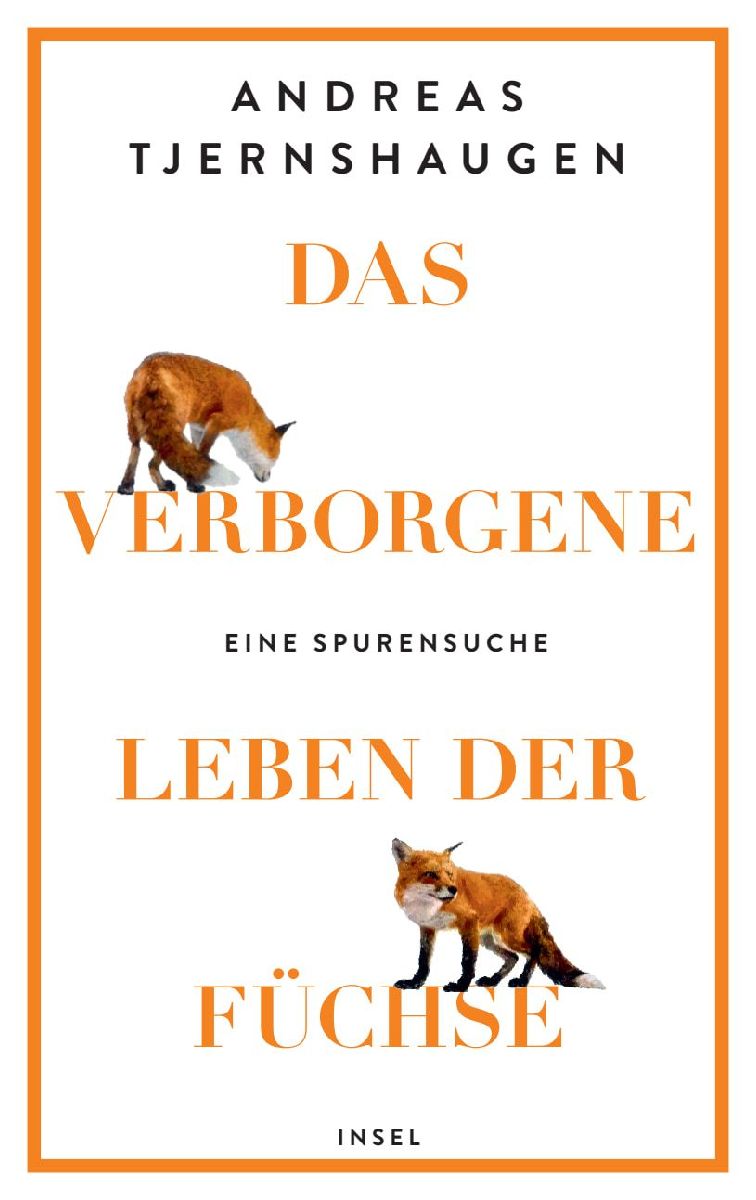 Das verborgene Leben der Füchse