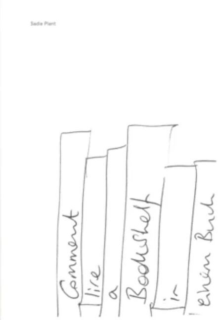 Sadie Plant: Comment lire a bookshelf in einem Buch