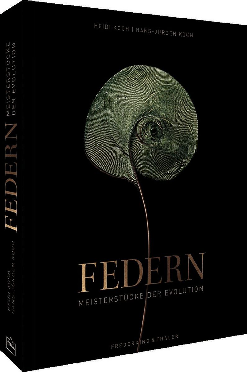 Bildband Federn: Meisterstücke der Evolution