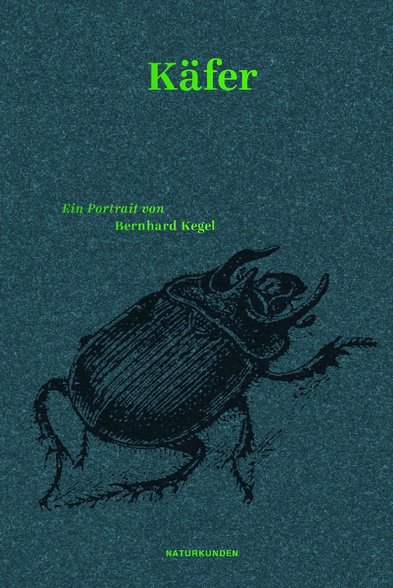 Käfer