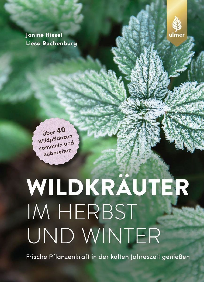 Wildkräuter im Herbst und Winter