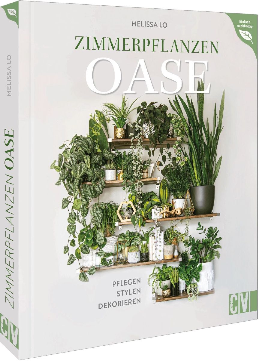 Zimmerpflanzen Oase