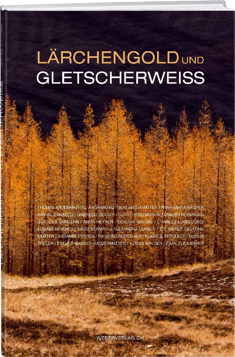 Lärchengold und Gletscherweiss