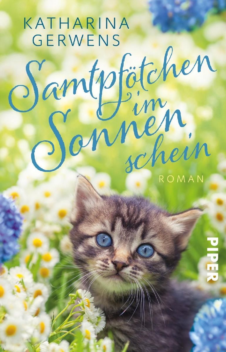Samtpfötchen im Sonnenschein