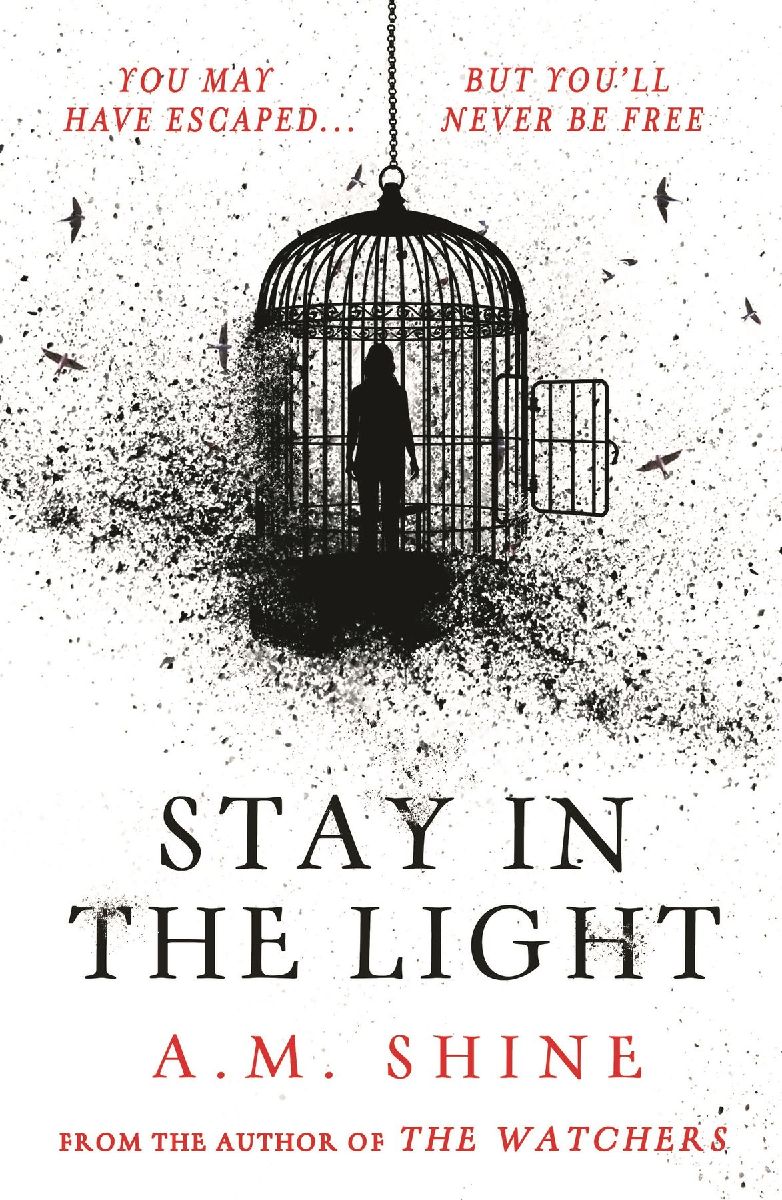 Stay in the Light
